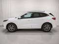 Ford Kuga ST LINE 2.5 DURATEC 190CV HIBRIDO SEMINUEVO Blanco - thumbnail 8