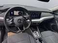 Skoda Octavia Style TDI DSG Blau - thumbnail 11