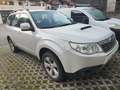 Subaru Forester Forester III 2009 2.0d XS Trend Wit - thumbnail 3