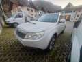 Subaru Forester Forester III 2009 2.0d XS Trend Wit - thumbnail 4