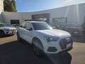 Audi Q3 Q3 35 2.0 tdi Business s-tronic Blanc - thumbnail 2