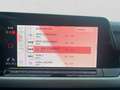 Volkswagen Golf 1.5 TSI LIFE PANO NAVI KAMERA Rot - thumbnail 15