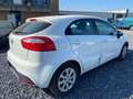 Kia Rio 1.0 T Pulse (Marchand ou Export) Wit - thumbnail 5