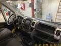 Fiat Ducato 35 Maxi 140 Multijet L5 Koffer + LBW Gelb - thumbnail 4