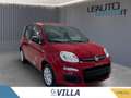 Fiat Panda 1.0 70cv Hybrid Panda Rosso - thumbnail 2
