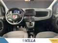 Fiat Panda 1.0 70cv Hybrid Panda Rosso - thumbnail 8