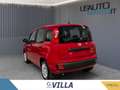 Fiat Panda 1.0 70cv Hybrid Panda Rosso - thumbnail 4