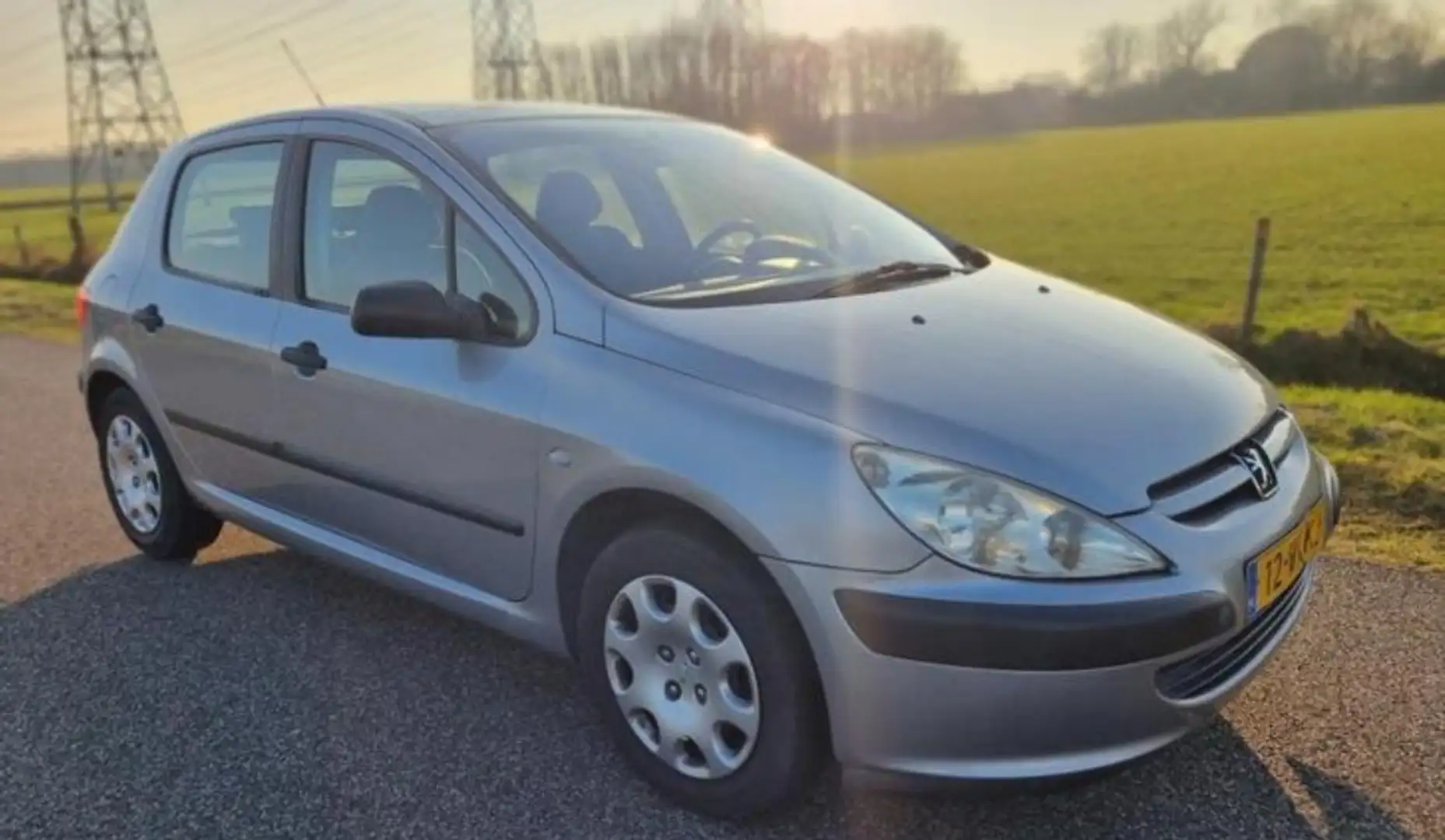 Peugeot 307 1.6-16V XR Gris - 1