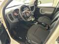 Fiat Panda 4x4 1.3 multijet diesel 16 v 5POSTI Blanco - thumbnail 6