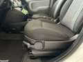 Fiat Panda 4x4 1.3 multijet diesel 16 v 5POSTI Blanco - thumbnail 10