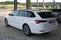Skoda Octavia Combi 2,0 TDI Ambition DSG ACC, eKlappe, Matrix... Weiß - thumbnail 3