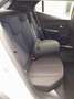 Peugeot 2008 BlueHDi 110 S&S Allure Bianco - thumbnail 15