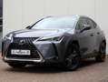 Lexus UX 250h AWD Luxury Line | Leder | Head up | Dodehoek Grau - thumbnail 9