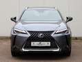 Lexus UX 250h AWD Luxury Line | Leder | Head up | Dodehoek Grau - thumbnail 2