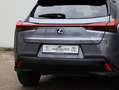 Lexus UX 250h AWD Luxury Line | Leder | Head up | Dodehoek Grau - thumbnail 26