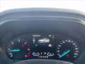 Ford Focus 1.5 EcoBlue 120 CV automatico SW ST-Line Co-Pilot Grau - thumbnail 7
