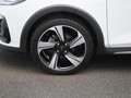 Ford Fiesta 1.0i EcoBoost 70kW Active Winterpack | PDC | Navig Bianco - thumbnail 14