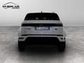 Land Rover Range Rover Evoque II 2019 - Range Rover Evoque 2.0d i4 mhev Bianco - thumbnail 5