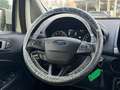 Ford EcoSport Ecosport 1.0 EcoBoost Gris - thumbnail 19