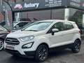 Ford EcoSport Ecosport 1.0 EcoBoost Gris - thumbnail 2