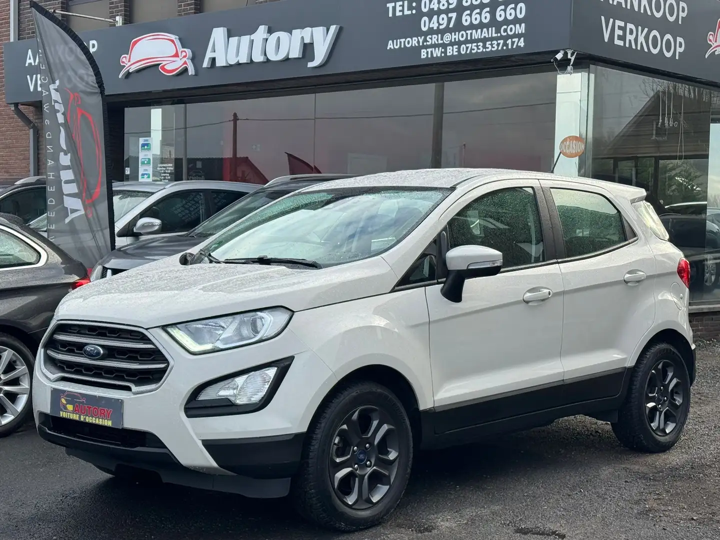 Ford EcoSport Ecosport 1.0 EcoBoost Gris - 2