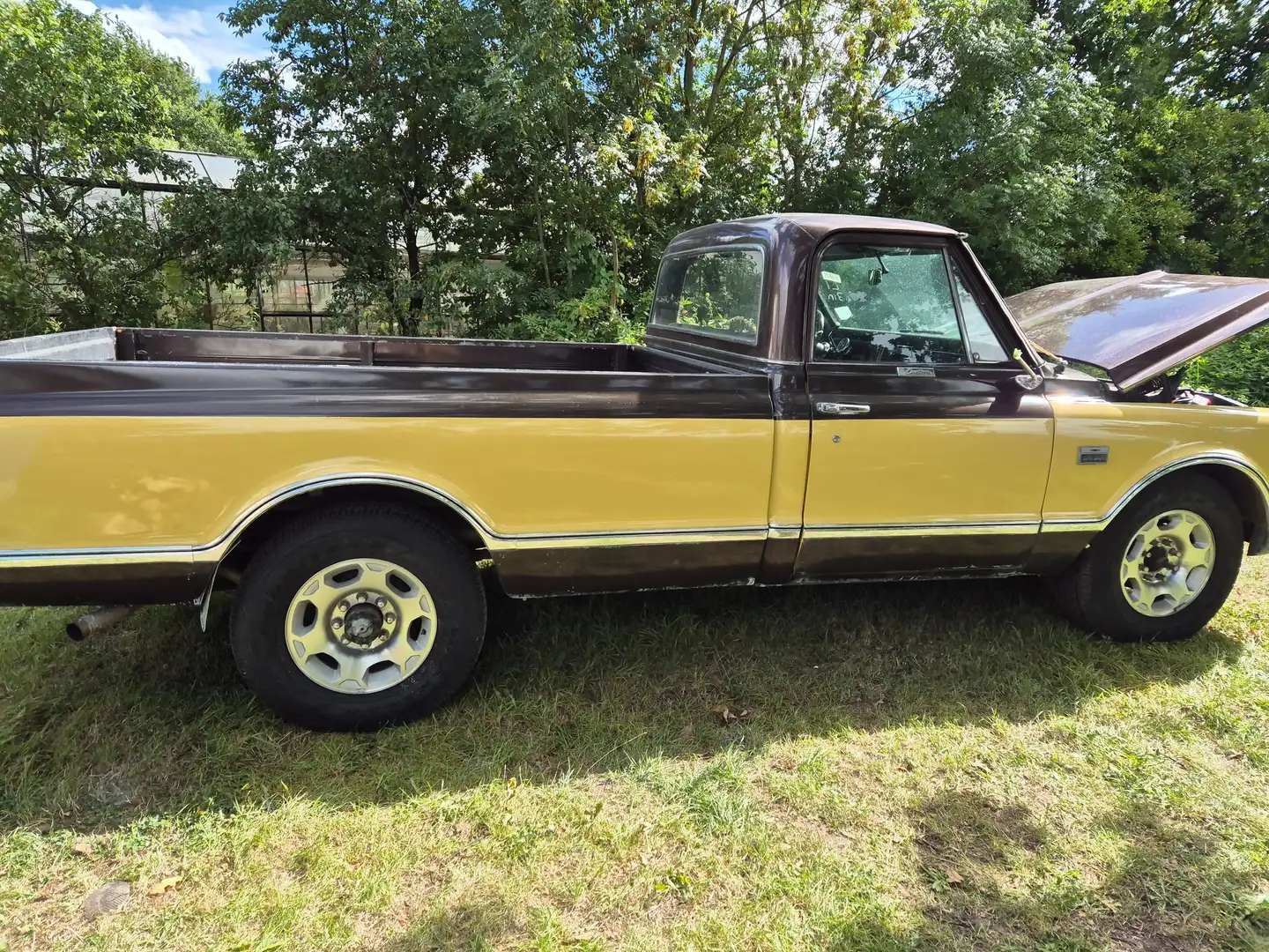 Chevrolet Chevrolet C20 - 2