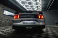 Ford Mustang Shelby GT 500 5.0 V8 Performance *LED* Grau - thumbnail 20
