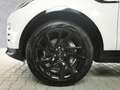 Land Rover Discovery 5 R-Dynamic SE D250 AWD Weiß - thumbnail 6