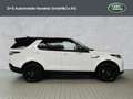 Land Rover Discovery 5 R-Dynamic SE D250 AWD Weiß - thumbnail 3
