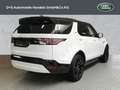 Land Rover Discovery 5 R-Dynamic SE D250 AWD Weiß - thumbnail 2