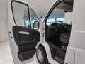 Peugeot Boxer 330 BlueHDi 140 S&S PC-TN Furgone Premium*9 Wit - thumbnail 23