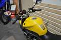 Yamaha XJ 6 Jaune - thumbnail 16