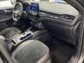 Ford Kuga 2.5 FHEV ST-LINE X AUTO 5P Gris - thumbnail 12