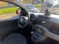 Fiat Panda 1.0 hybrid City Cross PROMO FINANZIAMENTO Giallo - thumbnail 4