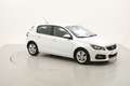 Peugeot 308 Active Business 1.5 Diesel 131CV Bianco - thumbnail 7