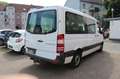 Mercedes-Benz Sprinter II  316 CDI/8 Sitzer/Ahk./Temp./Klima Weiß - thumbnail 6