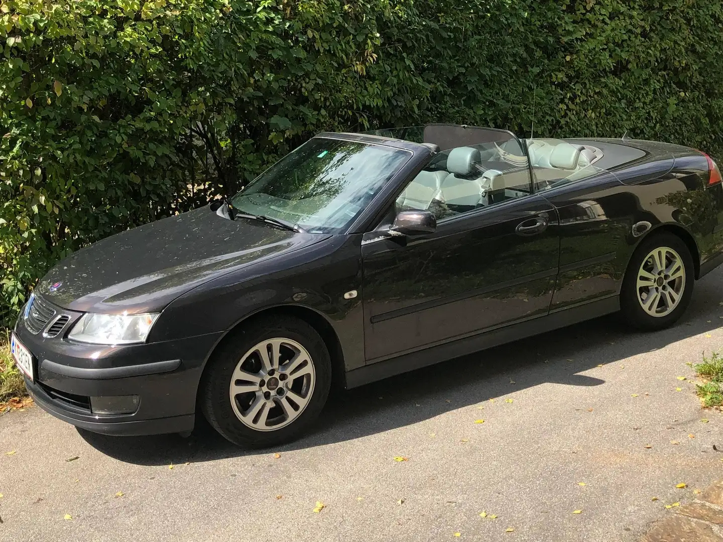 Saab 9-3 Garagengeplegtes Cabrio mit seltener eleganter Farbkombination Braun - 1