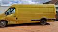 Nissan NV400 2.3 dCi L4H3 RWD TW Acenta S/S (E6) Jaune - thumbnail 21