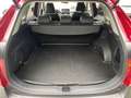 Toyota RAV 4 Lounge Hybrid Leder Memory Sitze Soundsystem JBL 3 Roşu - thumbnail 13