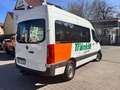 Mercedes-Benz Sprinter 316 CDI RWD, 9 Sitzer, AHK 3,5t Blanc - thumbnail 4
