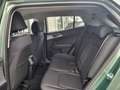 Kia Sportage Sportage 1.6 tgdi Gpl Business 147cv 2wd Verde - thumbnail 12