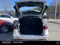 Mercedes-Benz B 250 B 250 e Progressive LED Kamera Vorr.-AHK 7,4kW Tel Argintiu - thumbnail 8