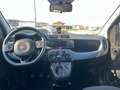 Fiat Panda Panda 0.9 t.air t. 4x4 s Grigio - thumbnail 11