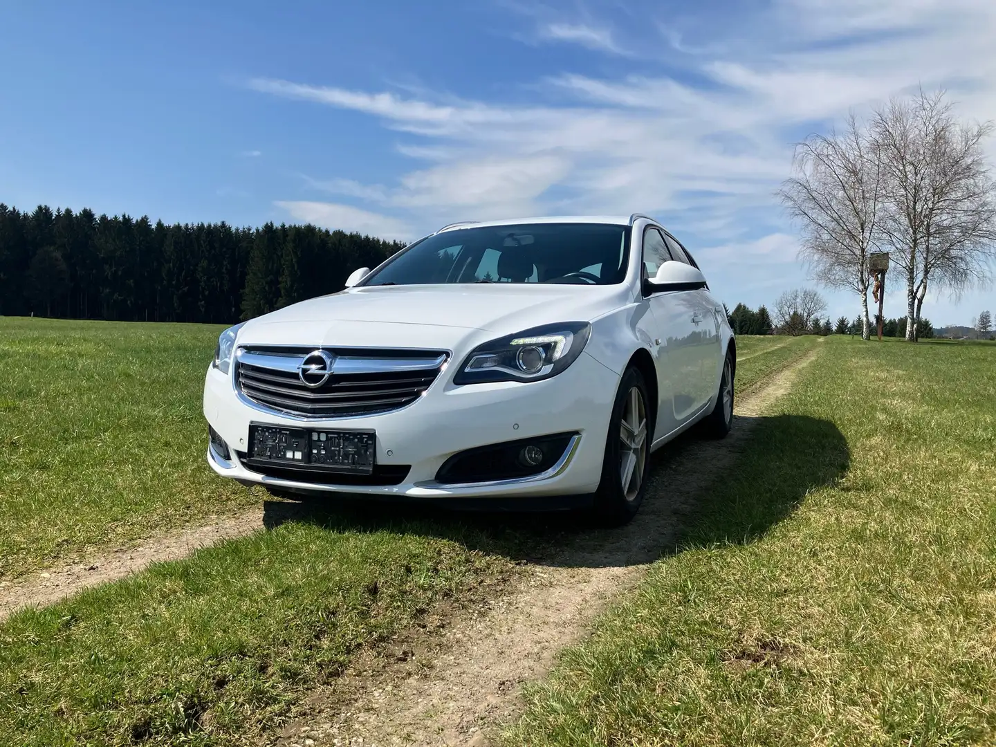 Opel Insignia Insignia+ST+2,0+CDTI+Ecotec+Sport+Aut.+Sport Weiß - 1