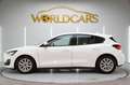 Ford Focus 1.5 Ecoblue Trend+ 120 Aut. Blanco - thumbnail 8