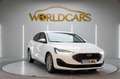 Ford Focus 1.5 Ecoblue Trend+ 120 Aut. Blanco - thumbnail 3
