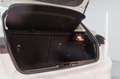 Ford Focus 1.5 Ecoblue Trend+ 120 Aut. Blanco - thumbnail 10