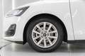 Ford Focus 1.5 Ecoblue Trend+ 120 Aut. Blanco - thumbnail 22