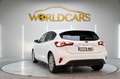 Ford Focus 1.5 Ecoblue Trend+ 120 Aut. Blanco - thumbnail 7