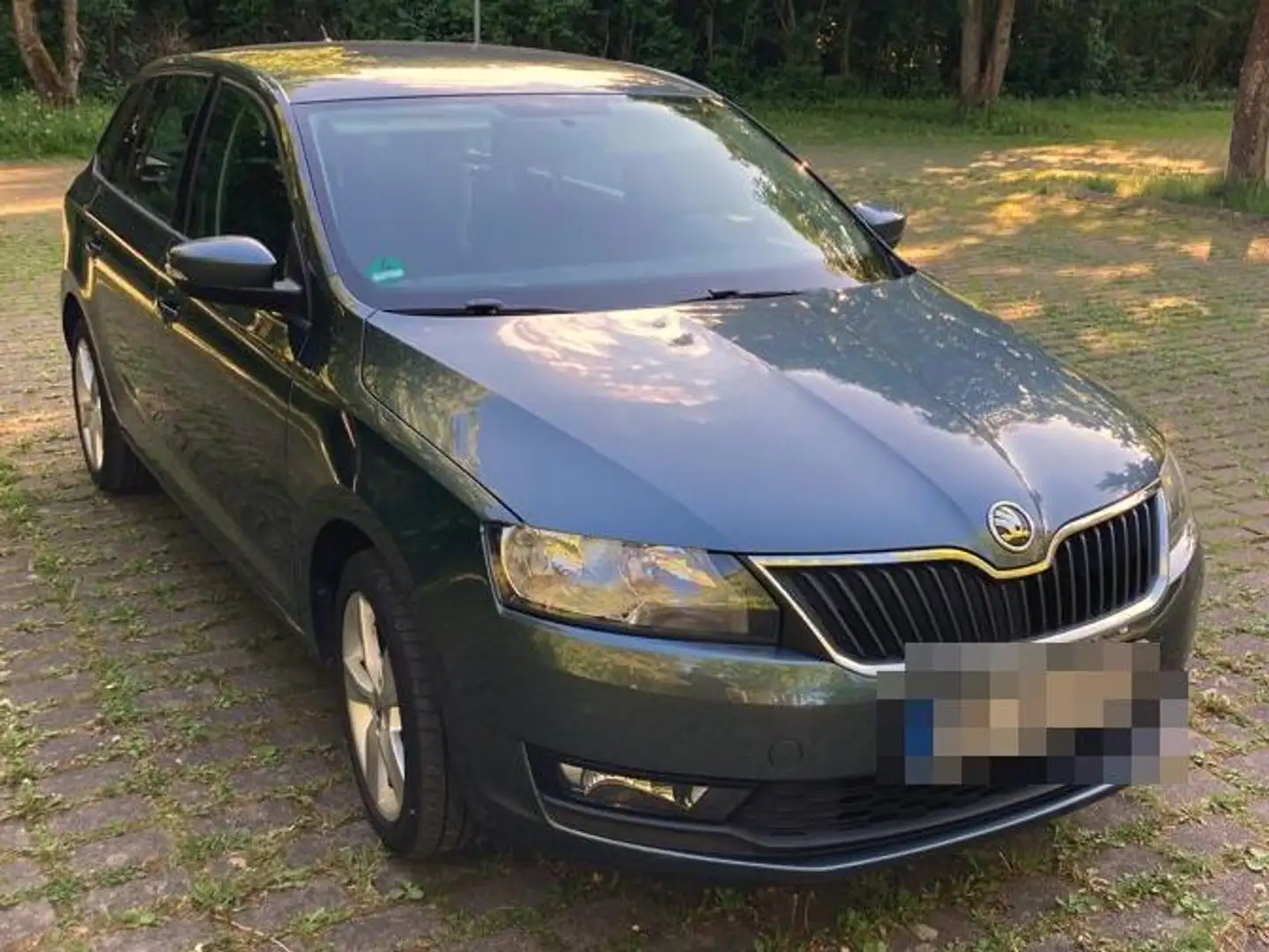Skoda Rapid/Spaceback Grau - 1